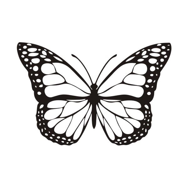 T-00851