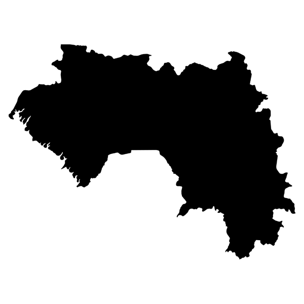 T-01886_Guinea