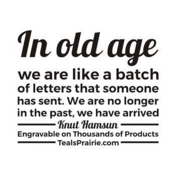 T-02504_Age_Quotes_and_Sayings_TealsPrairie.com