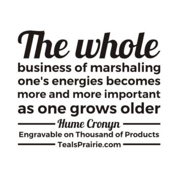 T-02574_Age_Quotes_and_Sayings_TealsPrairie.com