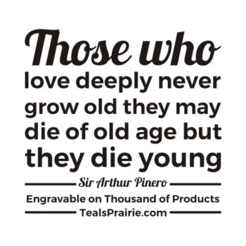T-02585_Age_Quotes_and_Sayings_TealsPrairie.com