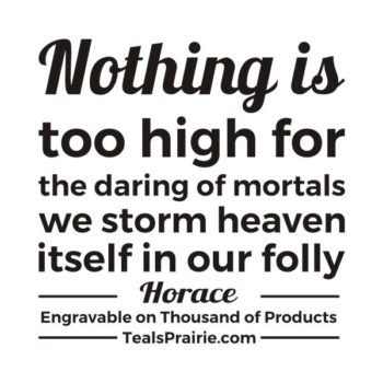 T-02699_Ambition_Quotes_and_Sayings_TealsPrairie.com