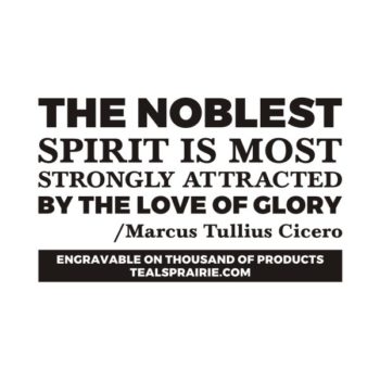 T-02709_Ambition_Quotes_and_Sayings_TealsPrairie.com