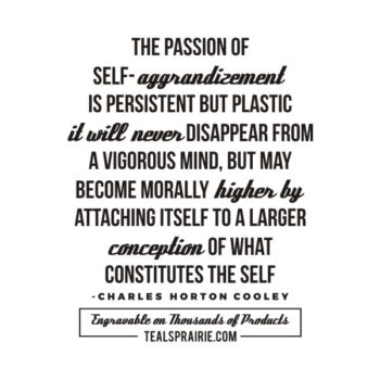T-02710_Ambition_Quotes_and_Sayings_TealsPrairie.com