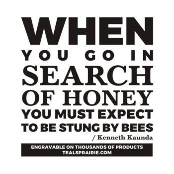 T-02735_Ambition_Quotes_and_Sayings_TealsPrairie.com.JPG
