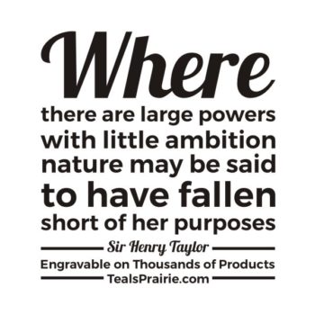 T-02738_Ambition_Quotes_and_Sayings_TealsPrairie.com.JPG