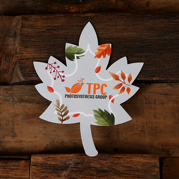 maple leaf promotional event mailer ice box refrigerator (5) maple leaf promotional event mailer ice box refrigerator (5)