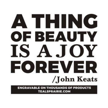 T-02869_Beauty_Quotes_and_Sayings_TealsPrairie.com