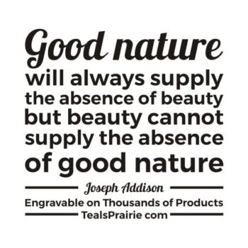 T-02874_Beauty_Quotes_and_Sayings_TealsPrairie.com