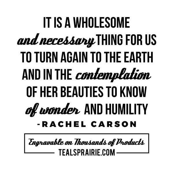 T-02879_Beauty_Quotes_and_Sayings_TealsPrairie.com T-02879_Beauty_Quotes_and_Sayings_TealsPrairie.com