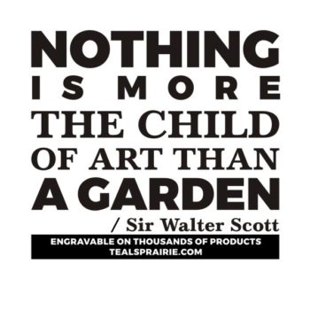 T-02882_Beauty_Quotes_and_Sayings_TealsPrairie.com