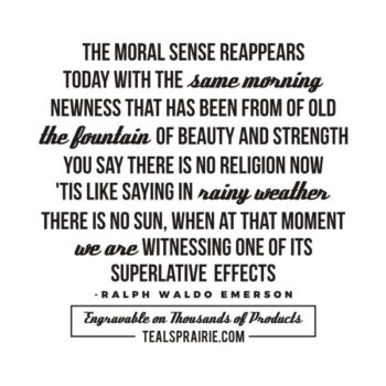 T-02894_Beauty_Quotes_and_Sayings_TealsPrairie.com