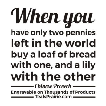 T-02902_Beauty_Quotes_and_Sayings_TealsPrairie.com.JPG
