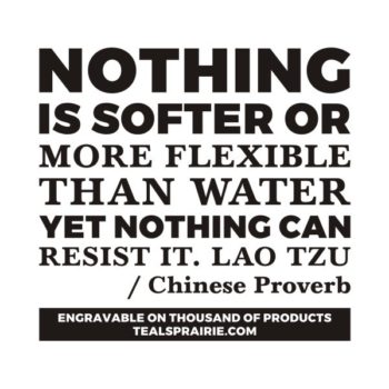 T-03168_Chinese_Quotes_and_Sayings_TealsPrairie.com