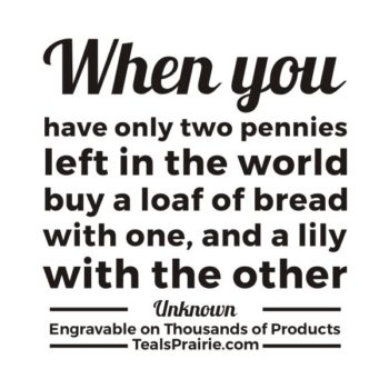 T-03179_Chinese_Quotes_and_Sayings_TealsPrairie.com.JPG