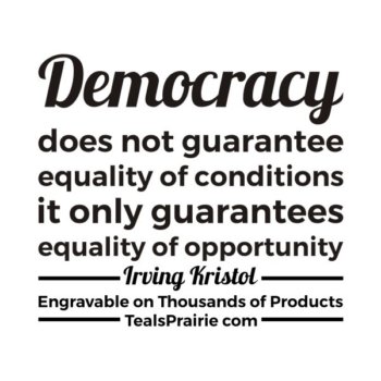 T-03283_Democracy_Quotes_and_Sayings_TealsPrairie.com.JPG
