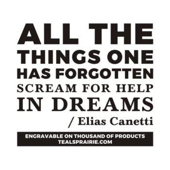 T-03363_Dream_Quotes_and_Sayings_TealsPrairie.com