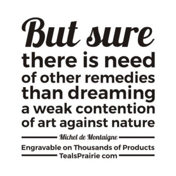 T-03375_Dream_Quotes_and_Sayings_TealsPrairie.com