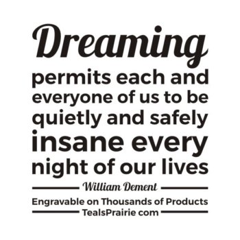 T-03393_Dream_Quotes_and_Sayings_TealsPrairie.com