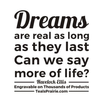 T-03397_Dream_Quotes_and_Sayings_TealsPrairie.com