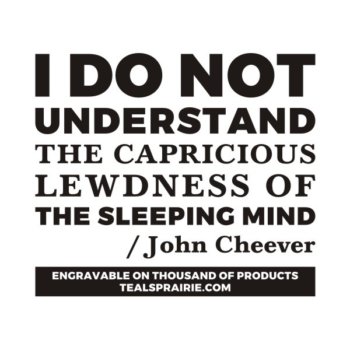 T-03426_Dream_Quotes_and_Sayings_TealsPrairie.com