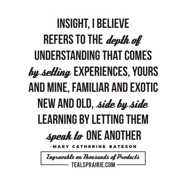 T-03537_Experience_Quotes_and_Sayings_TealsPrairie.com T-03537_Experience_Quotes_and_Sayings_TealsPrairie.com