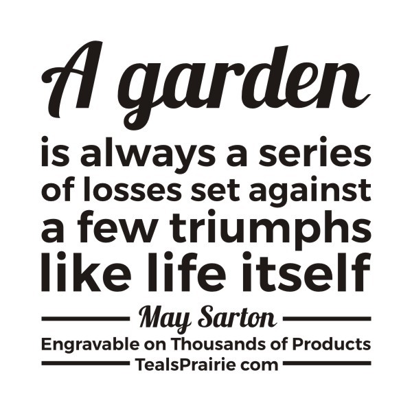 T-03560_Failure_Quotes_and_Sayings_TealsPrairie.com T-03560_Failure_Quotes_and_Sayings_TealsPrairie.com