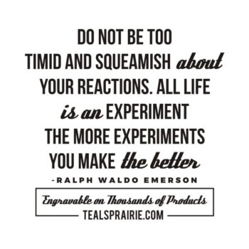 T-03801_Fear_Quotes_and_Sayings_TealsPrairie.com