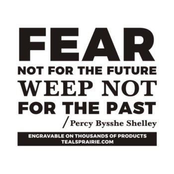 T-03809_Fear_Quotes_and_Sayings_TealsPrairie.com