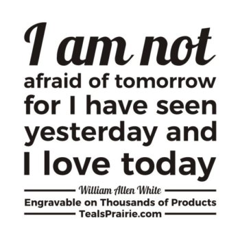 T-03812_Fear_Quotes_and_Sayings_TealsPrairie.com