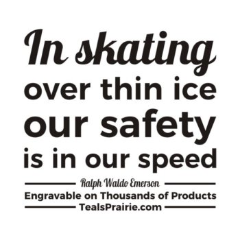 T-03817_Fear_Quotes_and_Sayings_TealsPrairie.com