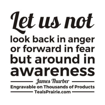 T-03820_Fear_Quotes_and_Sayings_TealsPrairie.com