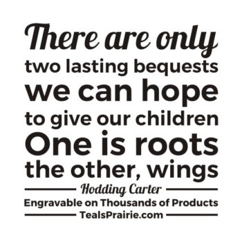 T-03956_Freedom_Quotes_and_Sayings_TealsPrairie.com.JPG