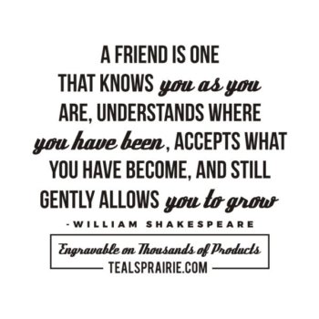 T-03988_Friends_Quotes_and_Sayings_TealsPrairie.com