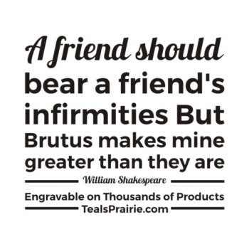 T-04001_Friends_Quotes_and_Sayings_TealsPrairie.com