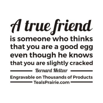 T-04032__Friends_Quotes_and_Sayings_TealsPrairie.com