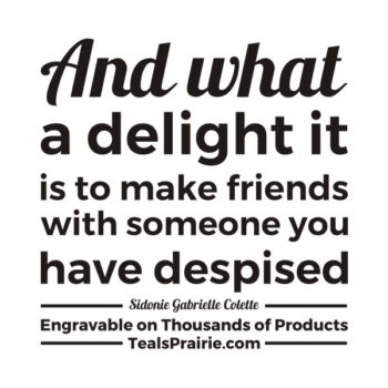 T-04052_Friends_Quotes_and_Sayings_TealsPrairie.com