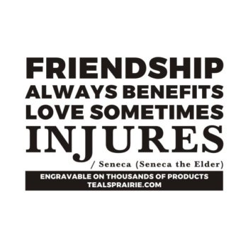 T-04117_Friends_Quotes_and_Sayings_TealsPrairie.com.JPG