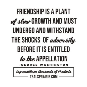T-04166_Friendship_Quotes_and_Sayings_TealsPrairie.com