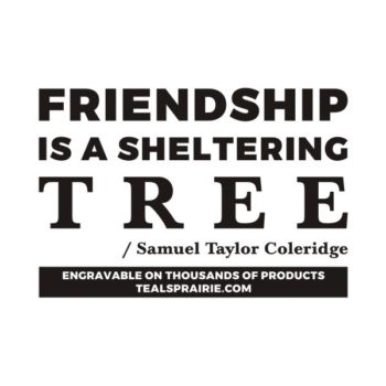T-04167_Friendship_Quotes_and_Sayings_TealsPrairie.com