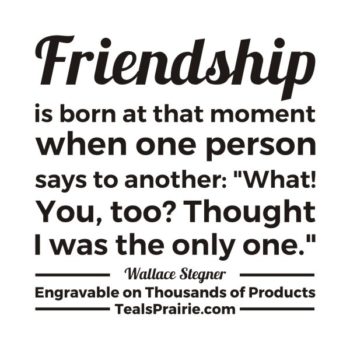 T-04168_Friendship_Quotes_and_Sayings_TealsPrairie.com