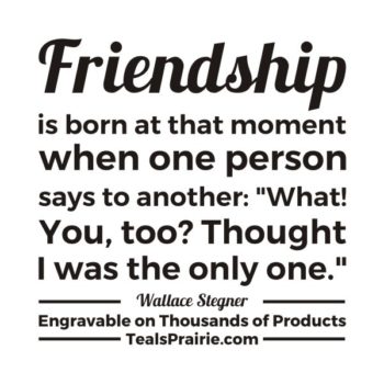 T-04168_Friendship_Quotes_and_Sayings_TealsPrairie.com